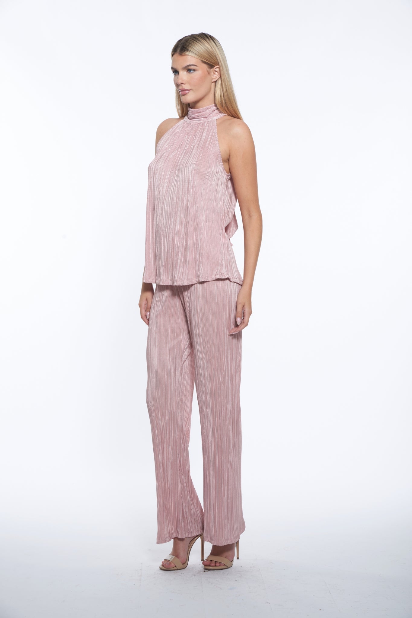 Hass Top - Blush Plisse